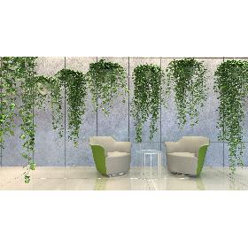 3D model Epipremnum aureum 11